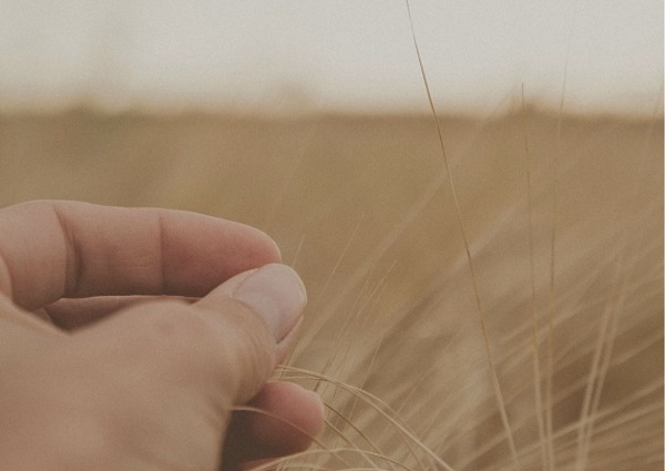 yoga_somatic_talleres_procesos_sistémicos_mariaplazaserrano.es